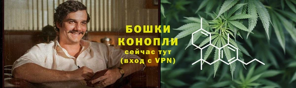 крисы Богданович