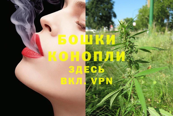 крисы Богданович