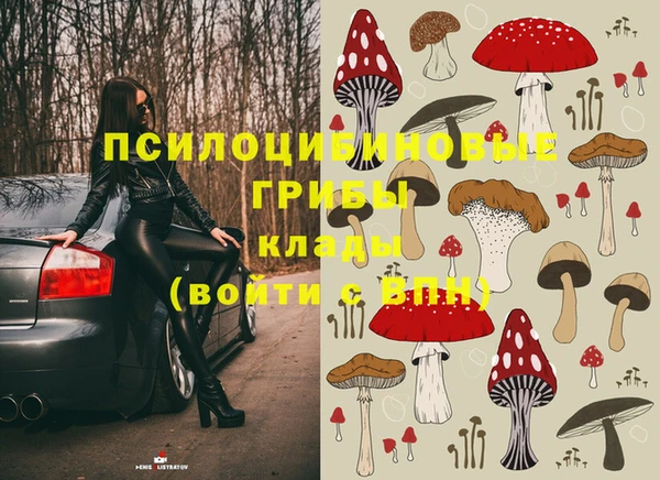 мескалин Богородицк