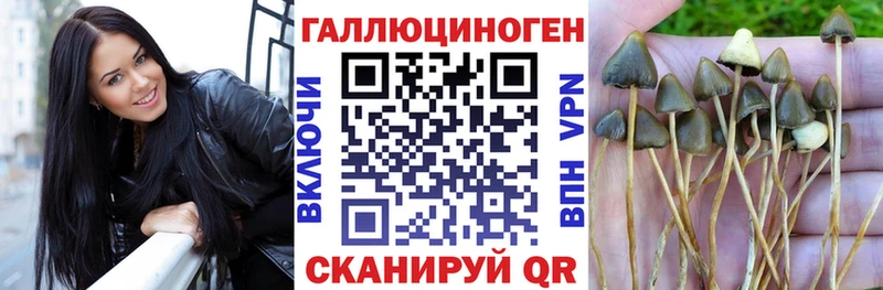Псилоцибиновые грибы Magic Shrooms Кстово