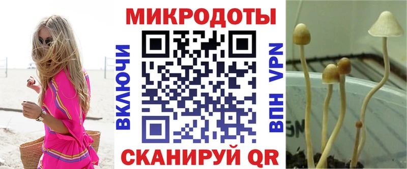 Галлюциногенные грибы MAGIC MUSHROOMS  маркетплейс Telegram  Кстово 